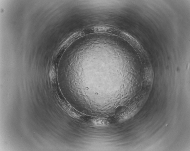 X0000087510761200705040949