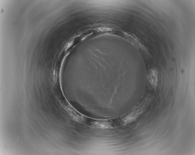 X0000087510763200705040949