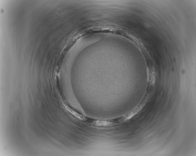 X0000087510766200705040949