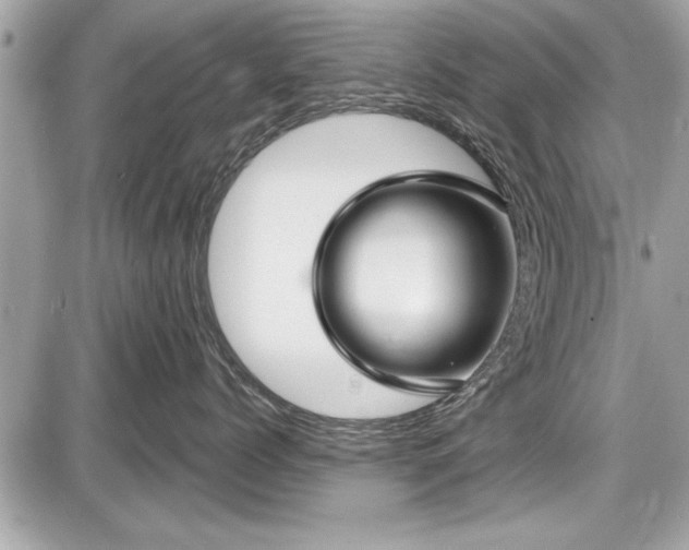 X0000087510768200705040949