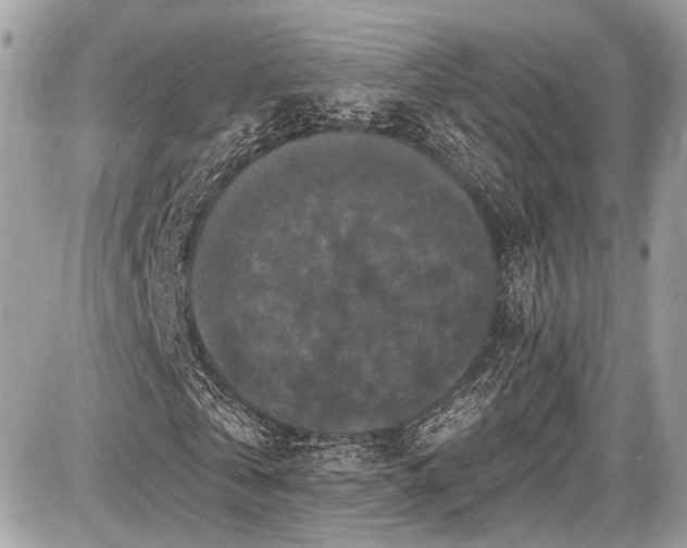 X0000087510769200705040948