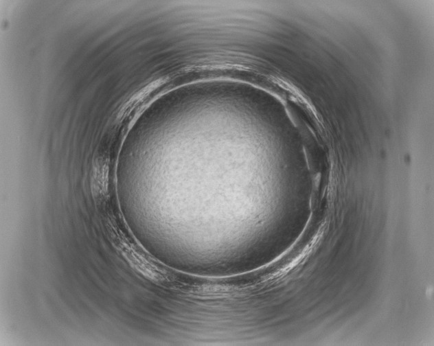 X0000087510777200705040948