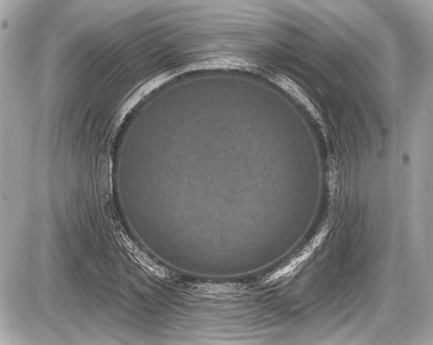 X0000087510781200705040948