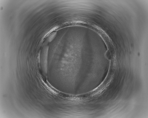 X0000087510785200705040948