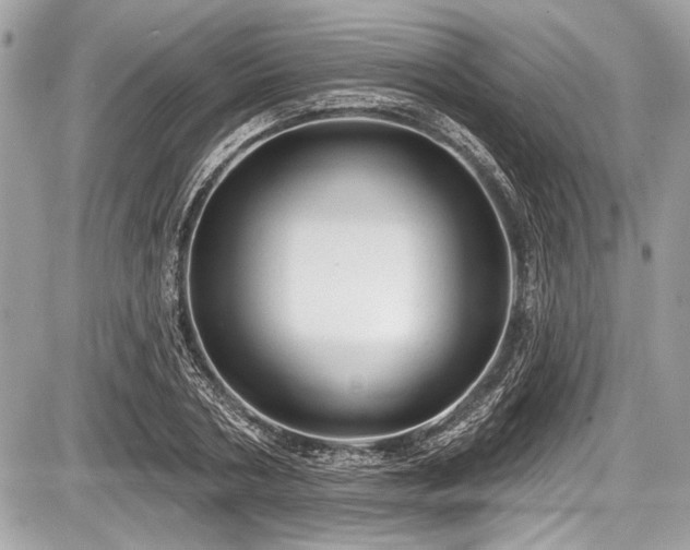 X0000087510786200705040948