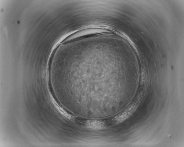 X0000087510795200705040947