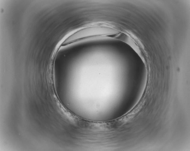 X0000087510816200705040947