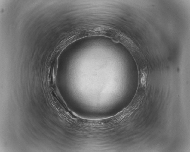 X0000087510819200705040946