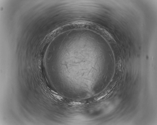 X0000087510821200705040946