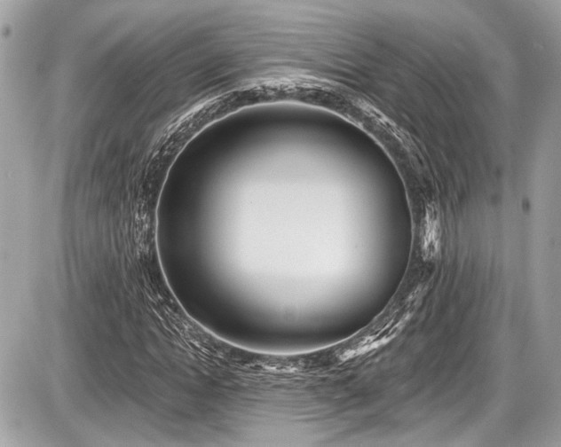 X0000087510822200705040946