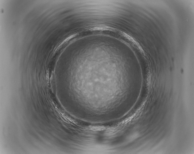 X0000087510825200705040947