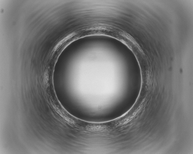 X0000087510826200705040947