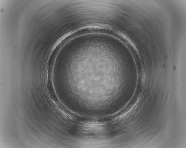 X0000087510829200705040947