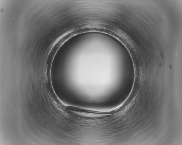 X0000087510830200705040947