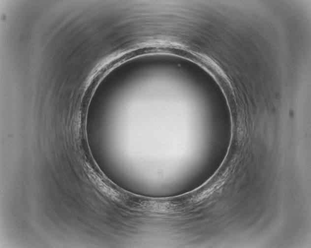 X0000087510831200705040947