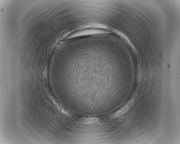 X0000087510833200705040947