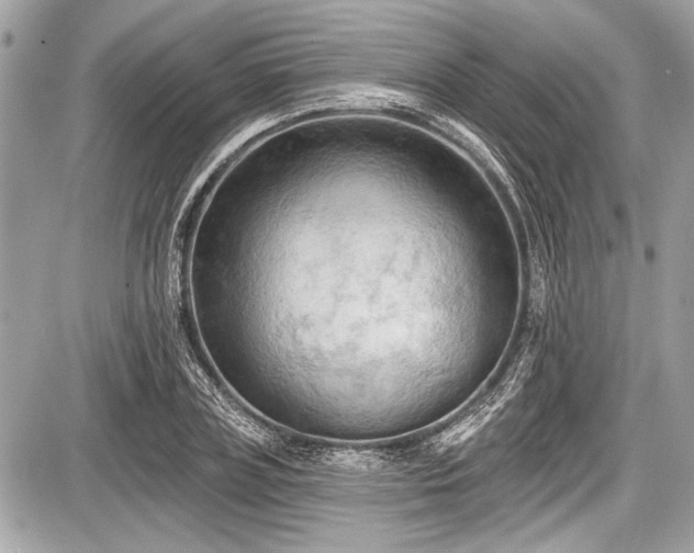 X0000087510835200705040947