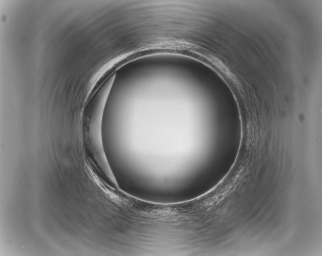 X0000087510838200705040947