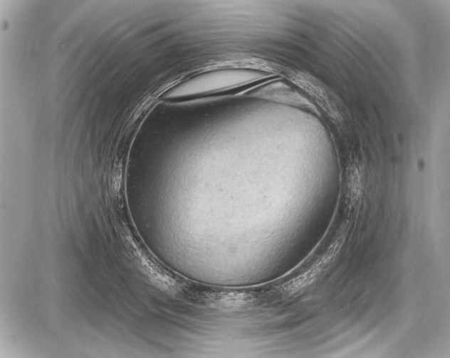 X0000087510841200705040947
