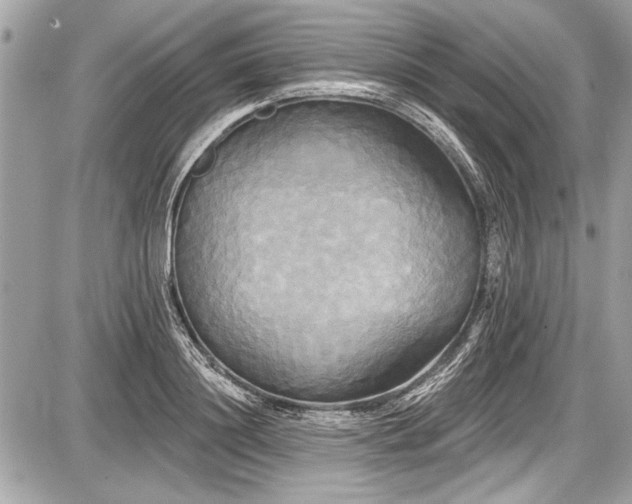 X0000087510844200705040947