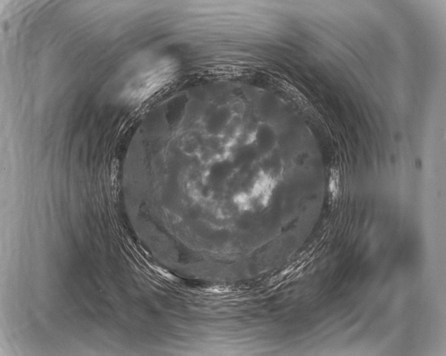 X0000087510867200705040946