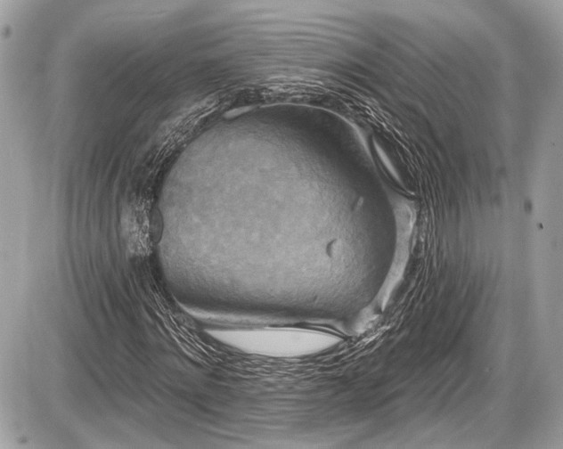 X0000087510868200705040946
