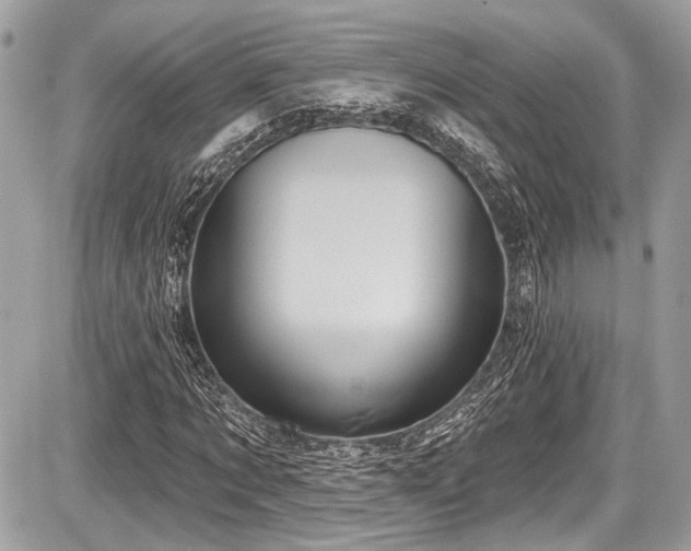 X0000087510869200705040946