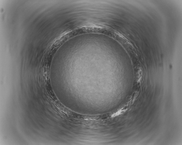 X0000087510870200705040946