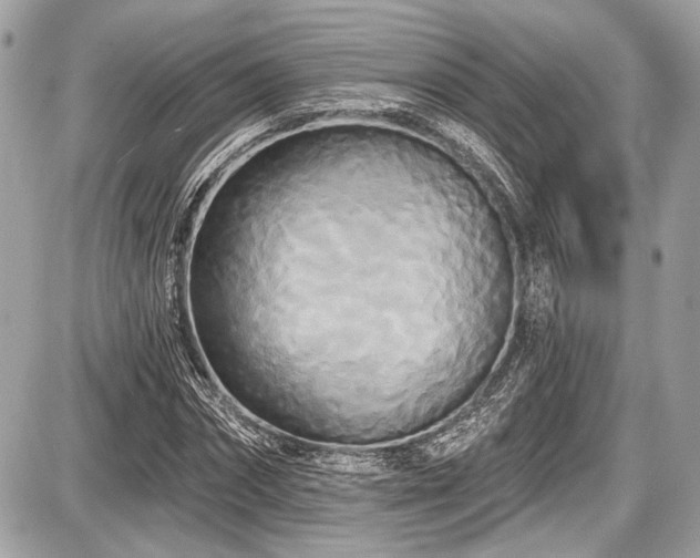 X0000087510874200705040946