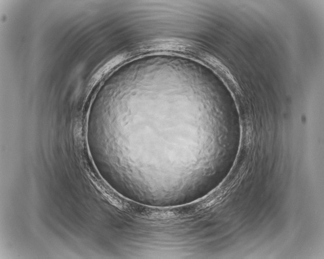 X0000087510882200705040946