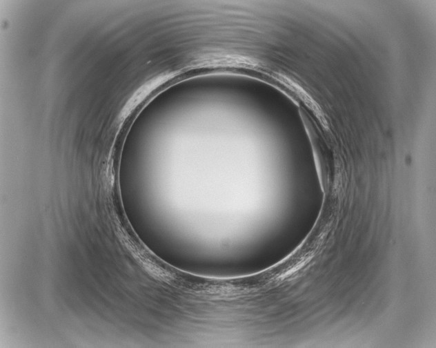 X0000087510885200705040946