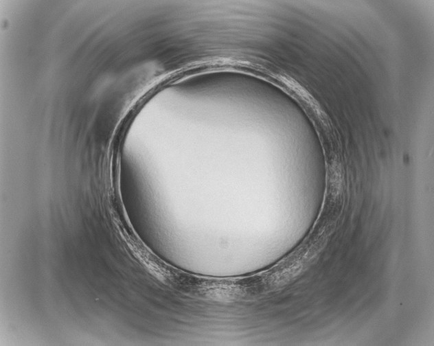 X0000087510886200705040946