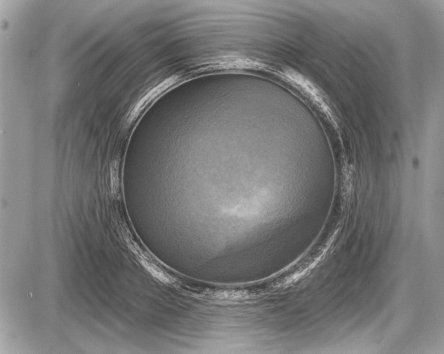 X0000087510889200705040946