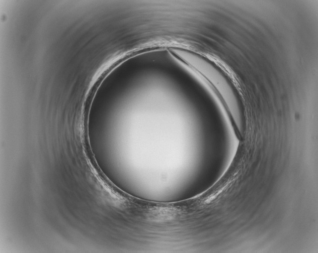 X0000087510894200705040946