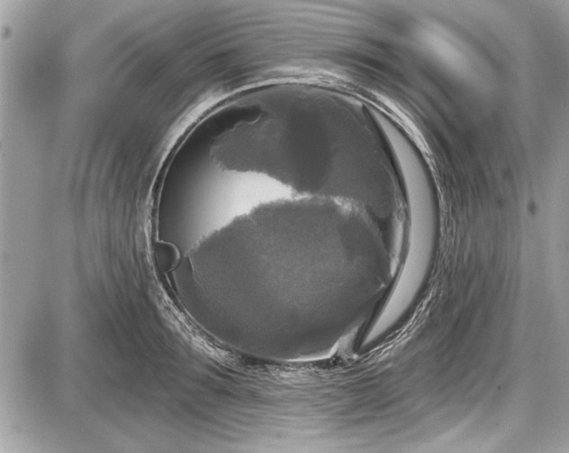 X0000087510899200705040946