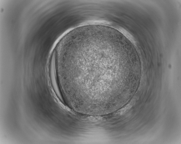 X0000087510912200705040946