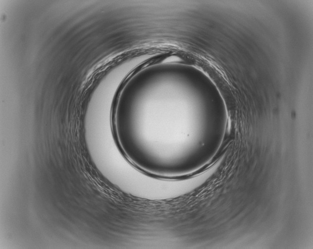 X0000087510920200705040945
