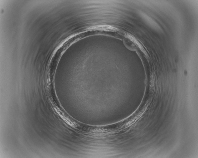 X0000087510923200705040945