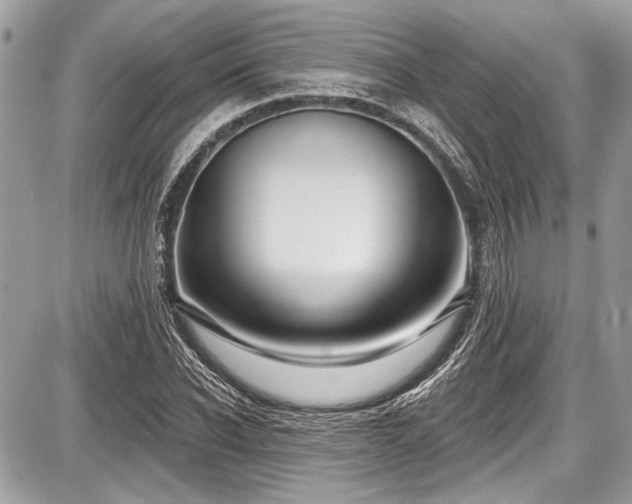X0000087510926200705040945