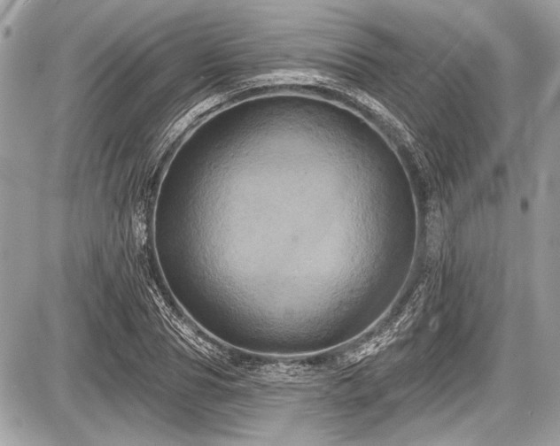 X0000087510929200705040945