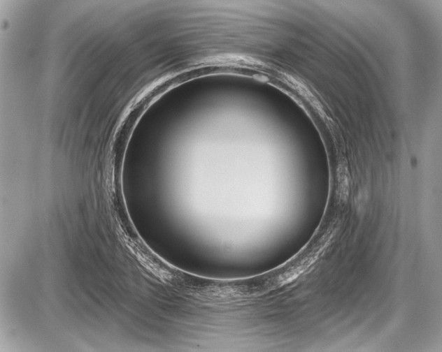 X0000087510931200705040945