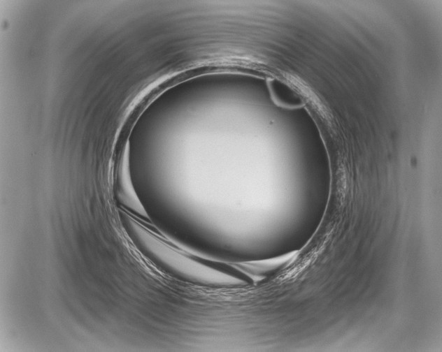 X0000087510932200705040945