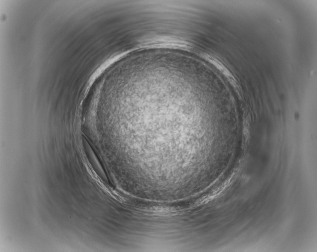 X0000087510933200705040945