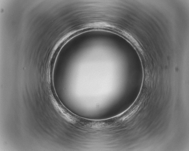 X0000087510939200705040945