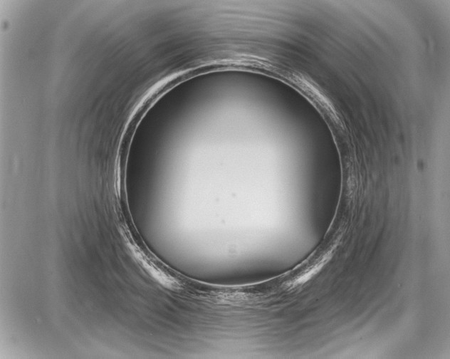 X0000087510940200705040945