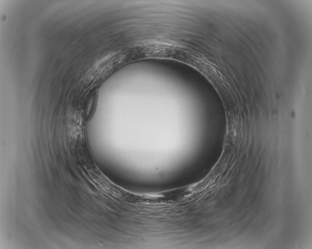 X0000087510964200705040945