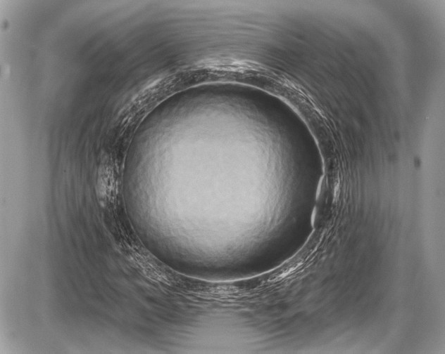 X0000087510966200705040945