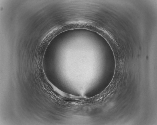 X0000087510967200705040945