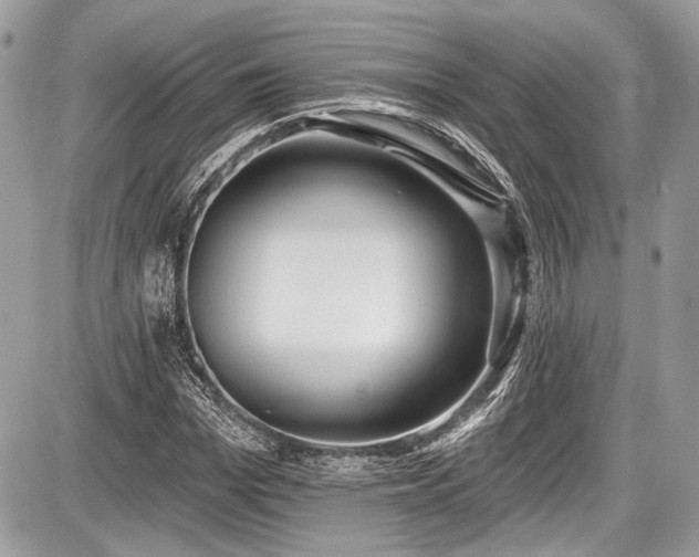 X0000087510969200705040945