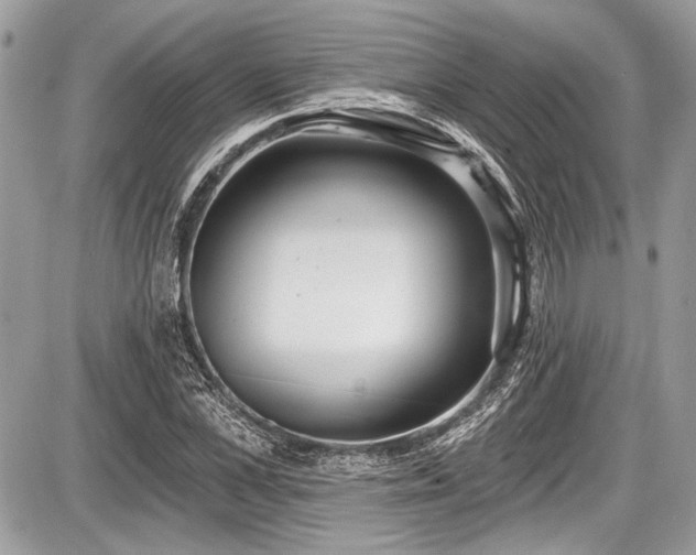 X0000087510973200705040945